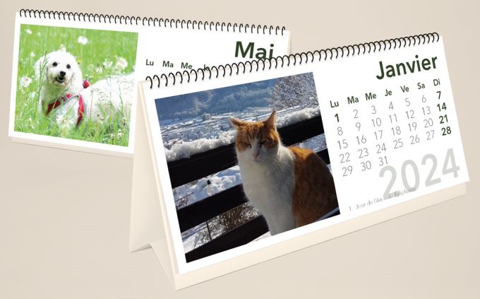 Tischkalender "Tiere aus dem Tierheim"